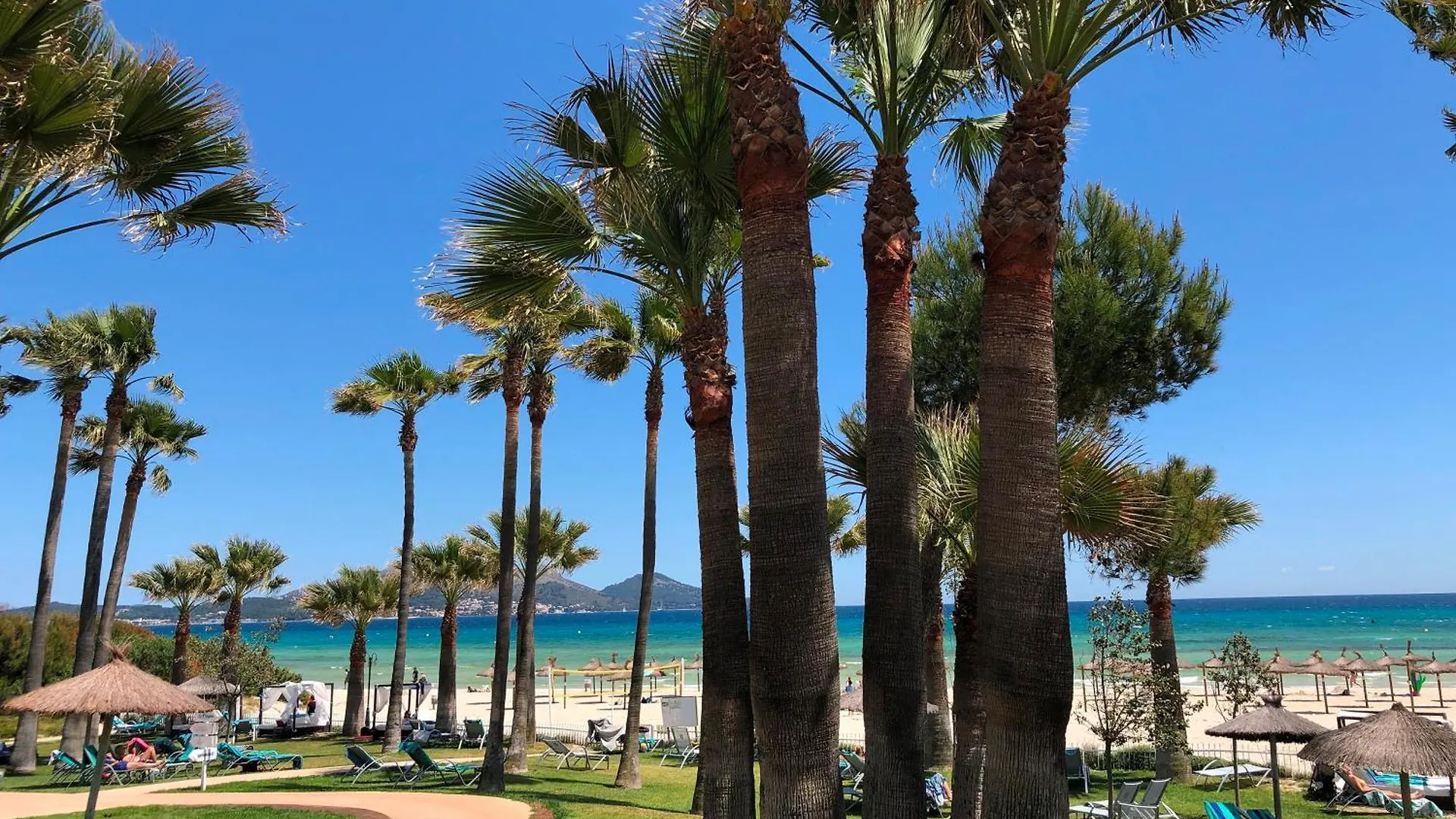 Apartahotel Playa Esperanza Resort - Affiliated by Melia Playa de Muro